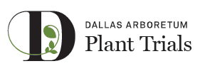Dallas Arboretum Plant Trials